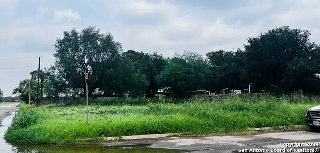 TBD S Walnut, Pearsall, TX 78061 - Image #2