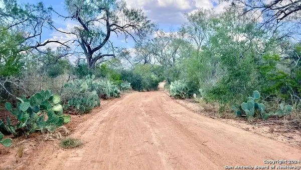 TBD Cr 349, Charlotte, TX 78011