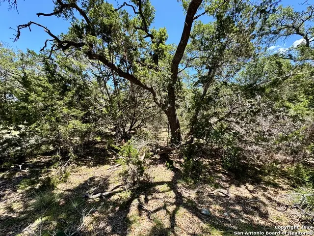 854 Maximino Ridge, Bulverde, TX 78163 - #3