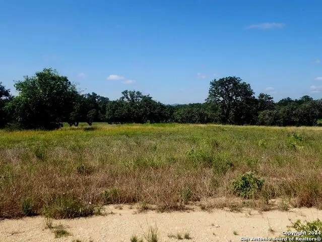 773 Annabelle Ave, Bulverde, TX 78163 - #3