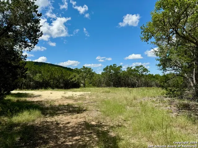 LOT 264 Pr 1709, Mico, TX 78056 - Image #2