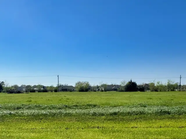 9891 Panther Creek Drive, Iola, TX 77861 - Image #1