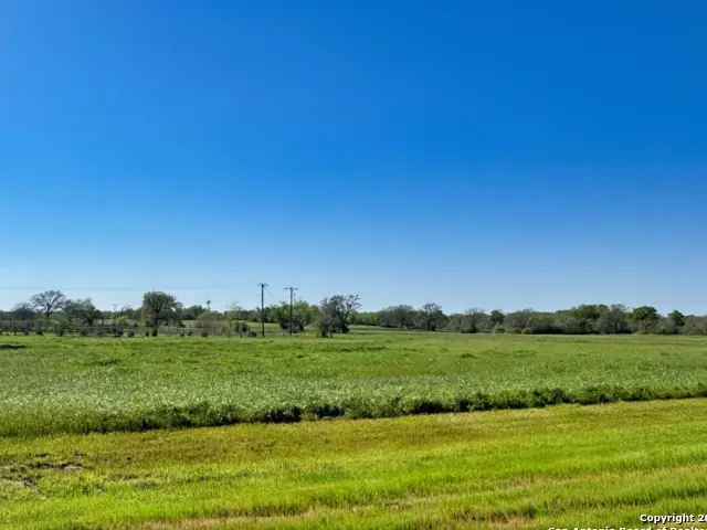 10045 Panther Creek Drive, Iola, TX 77861 - #1