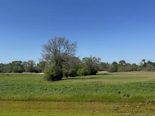 9956 Panther Ridge Drive, Iola, TX 77861 - Image #1