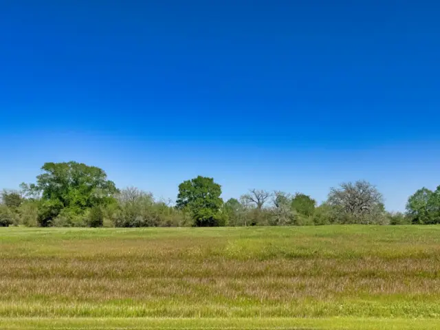 10222 Panther Creek Drive, Iola, TX 77861 - Image #1