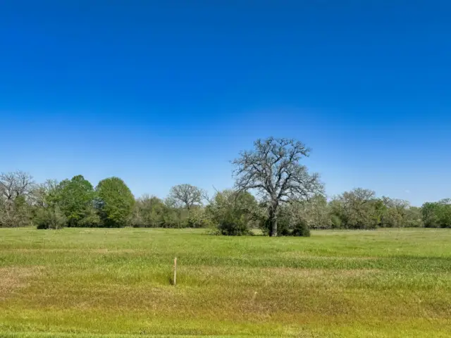 10172 Panther Creek Drive, Iola, TX 77861 - Image #1