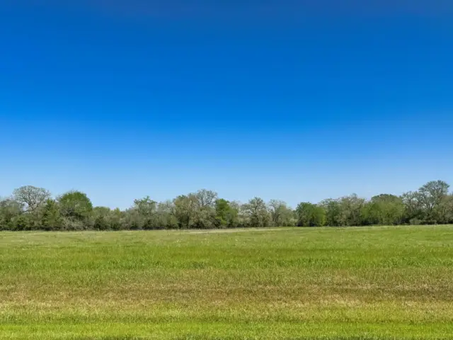 10146 Panther Creek Drive, Iola, TX 77861 - Image #1