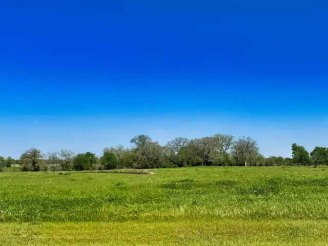 10068 Panther Creek Drive, Iola, TX 77861 - Image #1