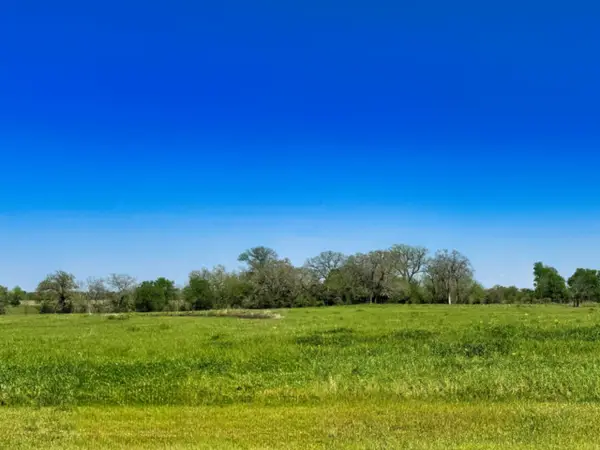 10068 Panther Creek Drive, Iola, TX 77861
