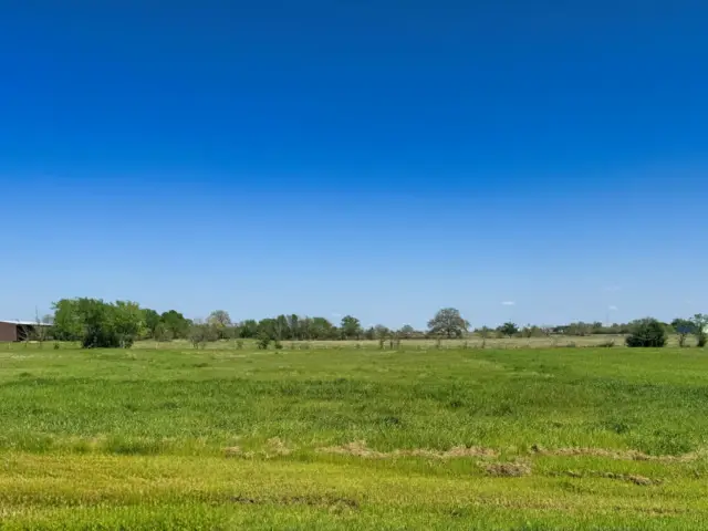 9966 Panther Creek Drive, Iola, TX 77861 - Image #1