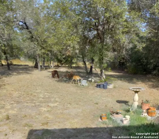 895 Gayle Ln, Poteet, TX 78065 - Image #1