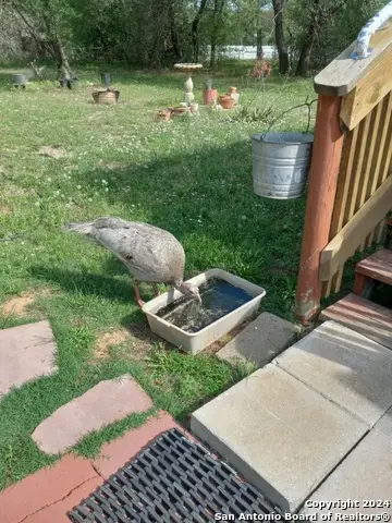 895 Gayle Ln, Poteet, TX 78065 - Image #3