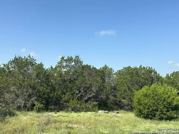 1231 Mystic Shores Blvd, Spring Branch, TX 78070