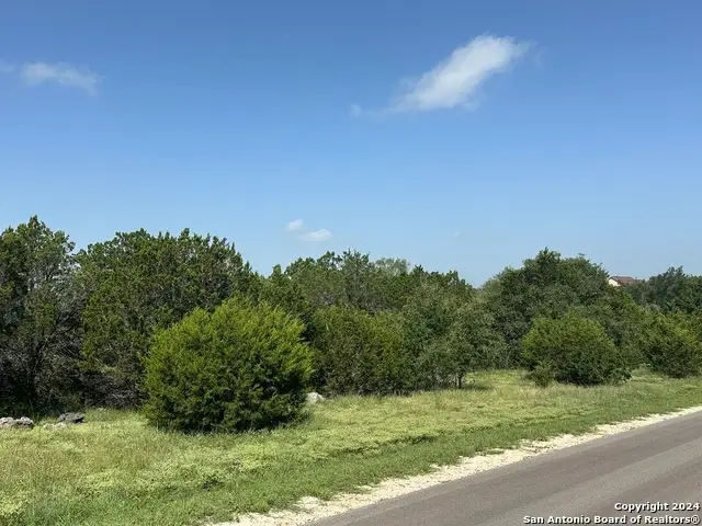 1231 Mystic Shores Blvd, Spring Branch, TX 78070 - Image #3