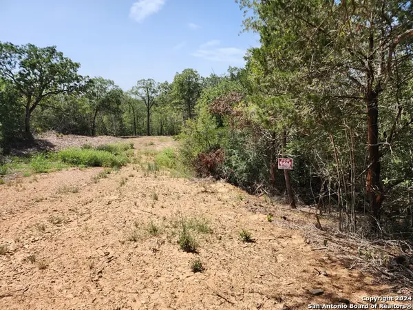 LOT 310 Kalihi Court, Bastrop, TX 78602