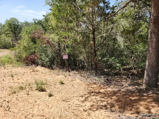LOT 310 Kalihi Court, Bastrop, TX 78602 - #3