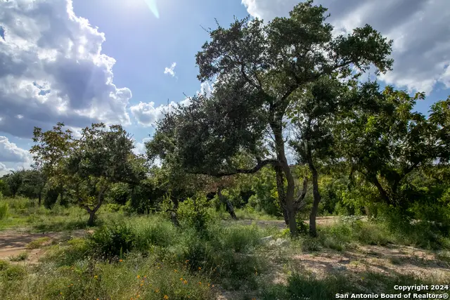LOT 6 Messina Cyn, San Antonio, TX 78255 - Image #1