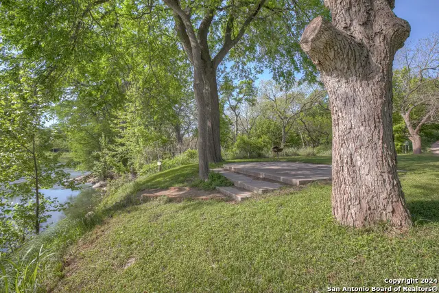 1390 Ervendberg Ave, New Braunfels, TX 78130 - #2