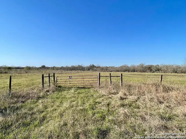 TRACT 2 West King Lane, Pettus Pawnee, TX 78142 - Image #2