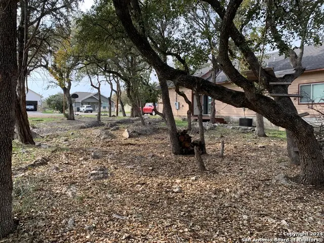 1915 Tanglewood Trl, Spring Branch, TX 78070 - #2