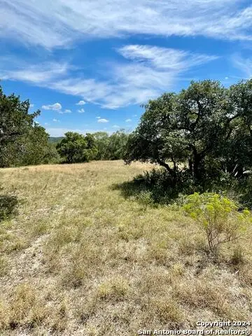 LOT 11 Pr 1713, Mico, TX 78056 - Image #3
