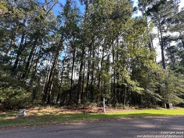 91 Twinstone Cir, Coldspring, TX 77331 - Image #3