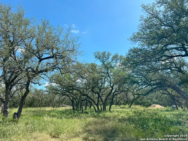 424 Pr 324, Dhanis, TX 78850 - Image #3