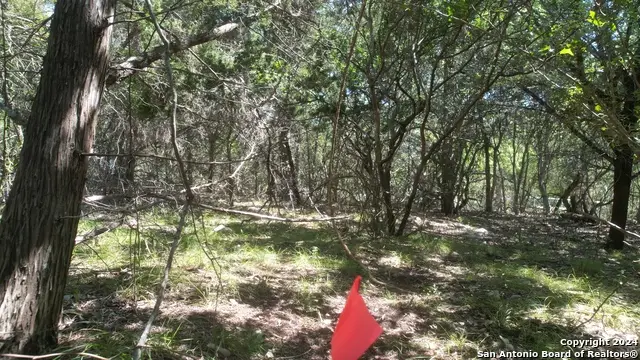 11736 Seiffert, Live Oak, TX 78233 - Image #2