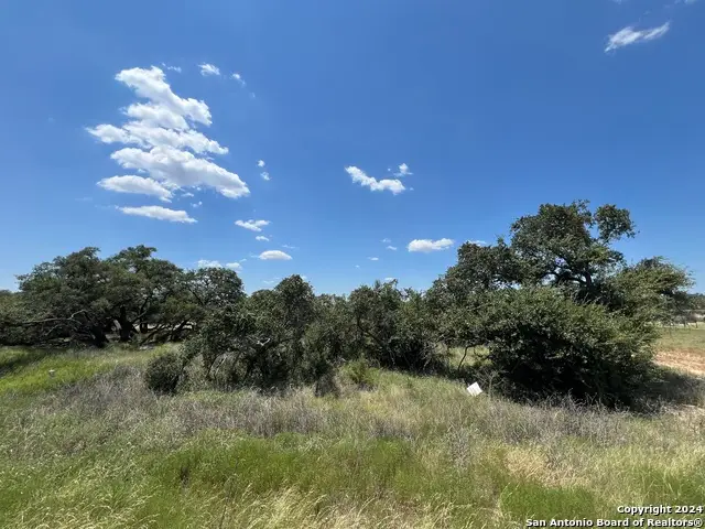 34717 Carries Creek, Bulverde, TX 78163 - #2