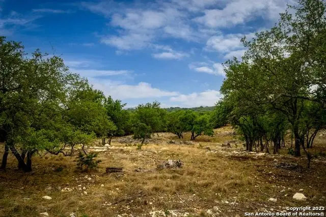 106 Swede Crk, Boerne, TX 78006 - #3