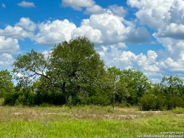 O County Road 116, George West, TX 78022 - Image #3