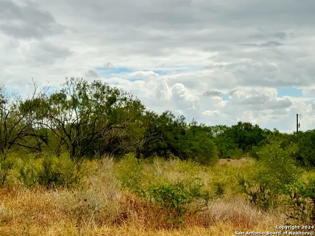 103 Cr 2636, Devine, TX 78016 - Image #3