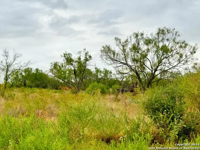 106 Cr 2638, Devine, TX 78016 - Image #2