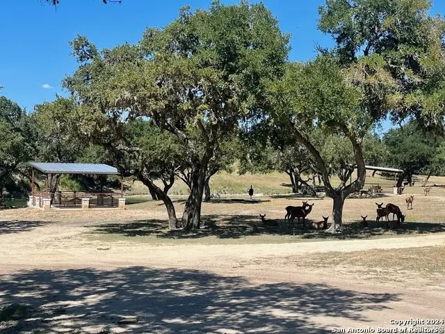 LOT 4 Elk Mountain Ranch, Pipe Creek, TX 78063 - Image #3