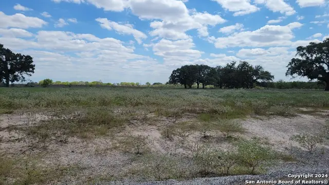 130 Firewheel Loop, Floresville, TX 78114 - Image #1