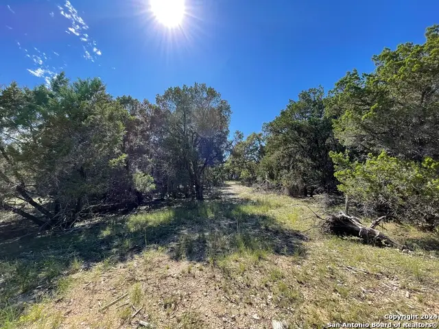 7717 Calcutta Run, Jonestown, TX 78645 - #2