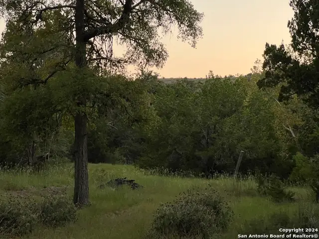 2366 The Low Rd, San Marcos, TX 78666 - Image #2