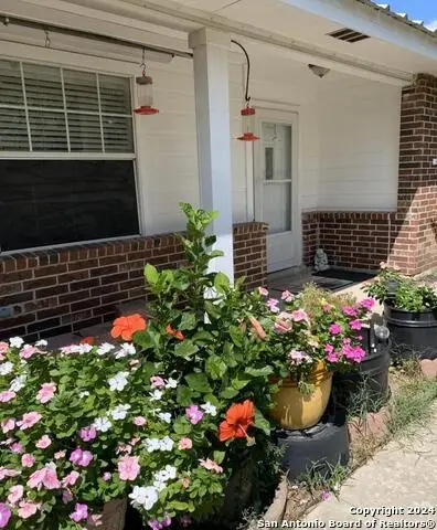 251 County Road 444, Hondo, TX 78861 - Image #3