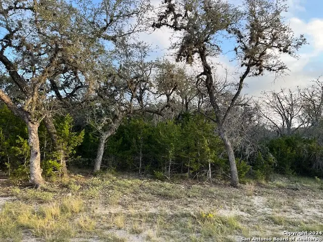 000 Leinweber Dr., Leakey, TX 78873 - Image #1