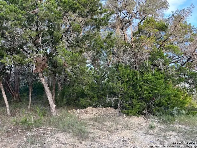 000 Leinweber Dr., Leakey, TX 78873 - Image #3