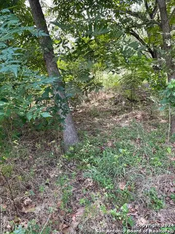 1711 S Loop 1604 E, San Antonio, TX 78264 - Image #2