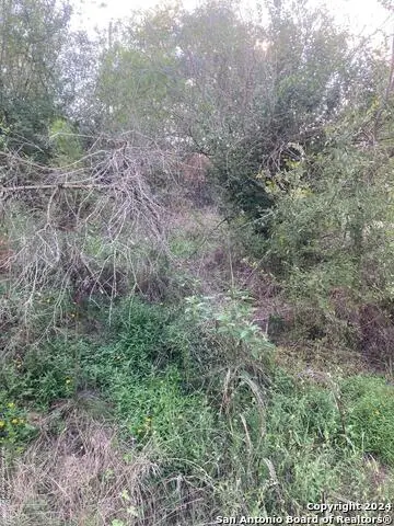 3606 Bob Billa, San Antonio, TX 78223 - Image #3
