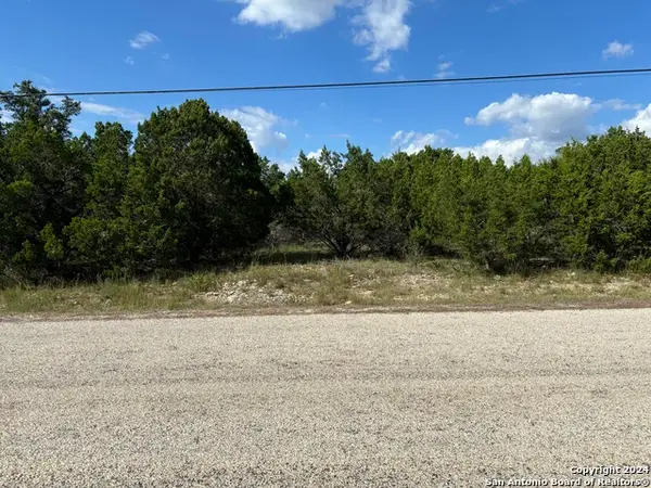 336 Lily St, Spring Branch, TX 78070