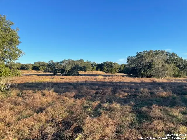 791 Rayner Ranch Blvd, Spring Branch, TX 78070 - #1