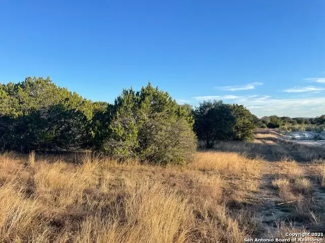 791 Rayner Ranch Blvd, Spring Branch, TX 78070 - #3