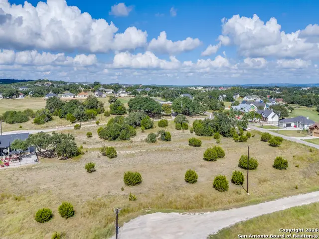 104 Serapia Garza, Blanco, TX 78606 - #2