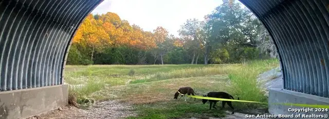 1810 Mountain Spring, Canyon Lake, TX 78133 - Image #3