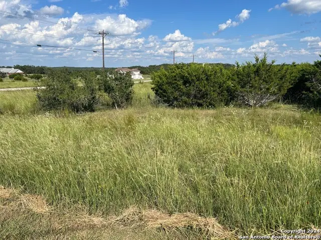 311 Bosque Ridge, Spring Branch, TX 78070 - Image #2