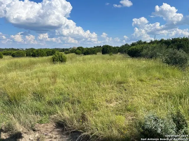 311 Bosque Ridge, Spring Branch, TX 78070 - Image #3