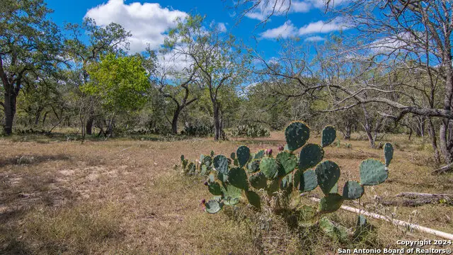 TBD County Road 434, Stockdale, TX 78155 - Image #3